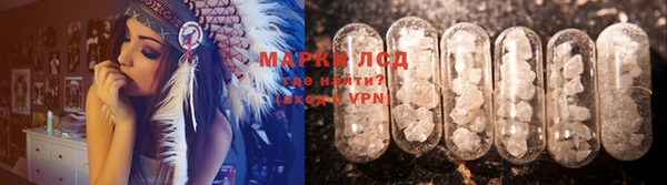 PSILOCYBIN Баксан