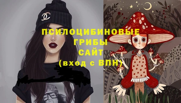 PSILOCYBIN Баксан