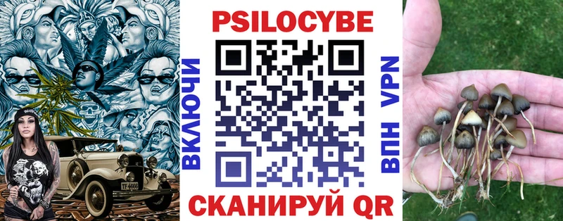 Галлюциногенные грибы мицелий Балахна