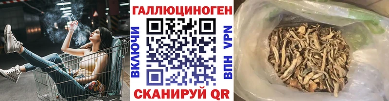 Галлюциногенные грибы прущие грибы  ОМГ ОМГ tor  Балахна  где продают наркотики 